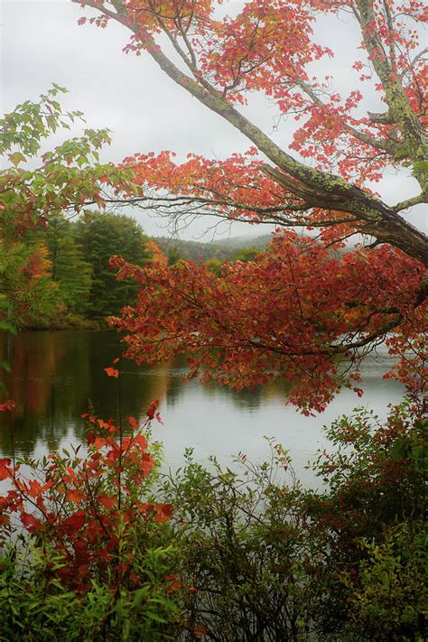 Rainy Vermont Day Photograph By Sherman Perry