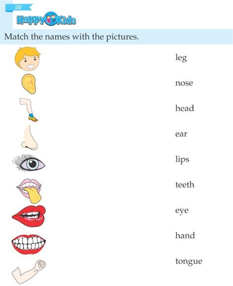Check spelling or type a new query. Kindergarten Science Body Parts | Preschool - Page 2