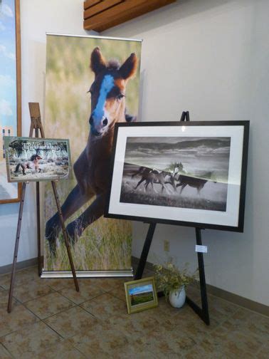 Deb Lee Carson Exhibit Of Wild Horse Photographs At The Harold Schafer