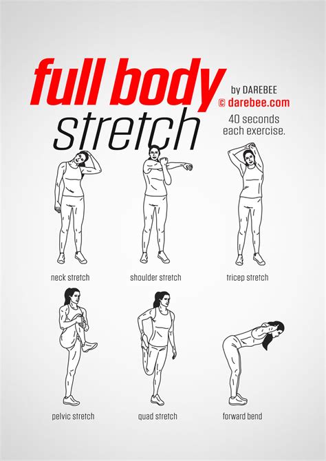 Full Body Stretch Stretches Before Workout Workout Warm Up Workout