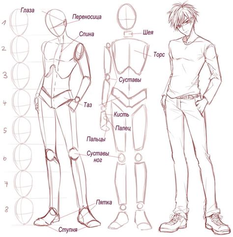 Male Body Tutorial Body Drawing Tutorial Anatomy Sketches Anime