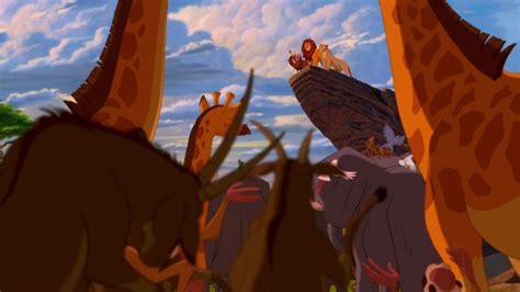 Kiara poached (lion king rule 34). In The Lion King (1994), the lions rule over the animal ...