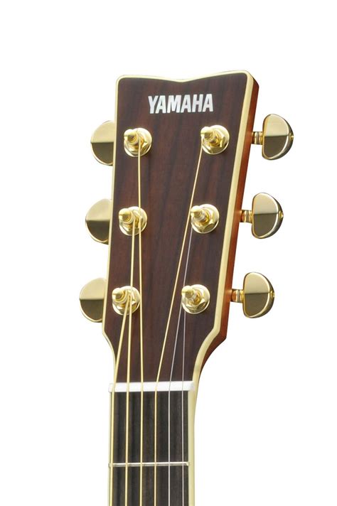 L Series Ll Series Acoustic Guitars Guitars Basses And Amps