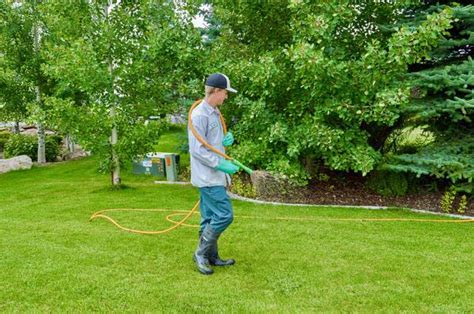 With the help of a professional lawn care service, weeding, fertilizing, watering, and pest. Professional Lawn Care vs. Do It Yourself: Which is Best for You?