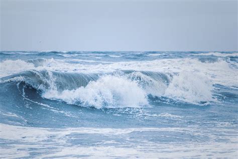 Big Waves At The Danish North Sea Coast Stock Image Image Of