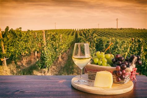 Glass Of White Wine In Front Of A Vineyard At Sunset Stock Image