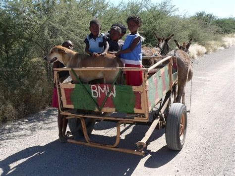 Bmw Donkey Cart Namibia Africa Transport Street Marketing