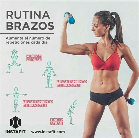 Rutina De Brazos Rutina De Brazos Ejercicios Rutinas De Ejercicio