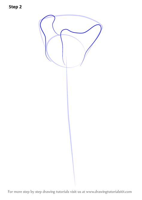 Your favourite drawing marker or pencil; Learn How to Draw a Rose Easy (Rose) Step by Step ...