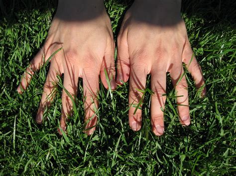 Hand Hands Grass Free Photo On Pixabay Pixabay