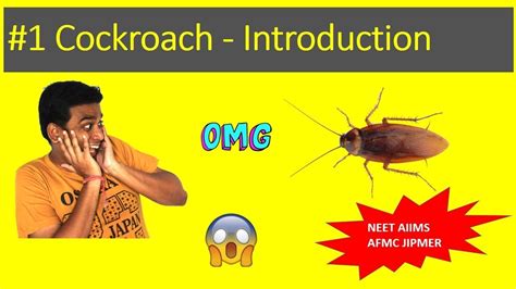 1 cockroach introduction youtube