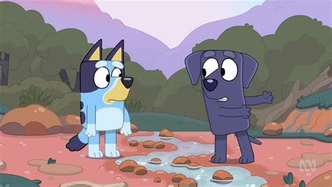 Bluey Season 1 Episode 43 Camping Watch Cartoons Online Watch Anime