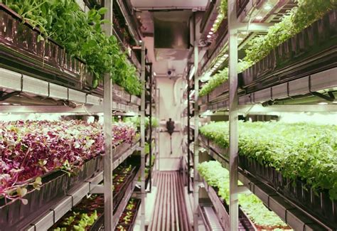 watch transforming shipping containers into vertical farms create