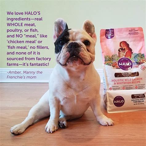 We have natural dog food for dogs of all sizes, ages and dietary needs. Halo Grain Free Natural Dry Dog Food, Small Breed Healthy ...