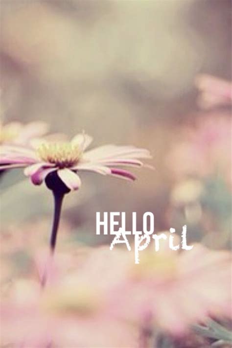 She's shy at first, but once you get to know her she's the life of the party. 75 Hello April Quotes & Sayings
