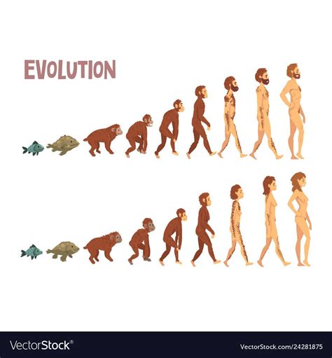 How Humans Evolved 9th Edition Free Pdf