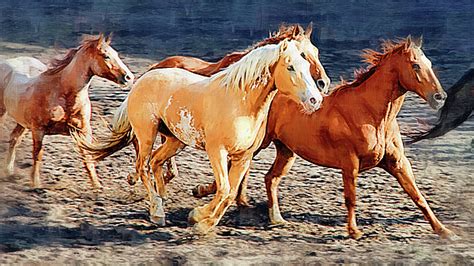 Wild Horses Running Painting By Clarence Alford