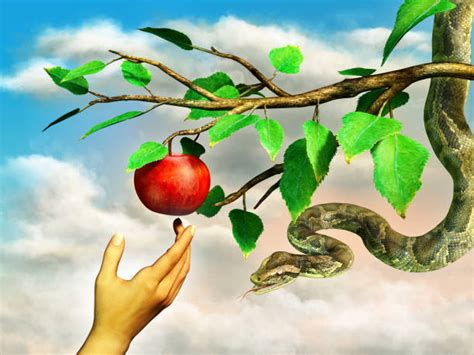 Adam And Eve Apple Stock Photos Pictures And Royalty Free Images Istock