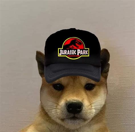 Pin De Stilly En Dog With Hat Cachorros Adorables Pantalla De Perro