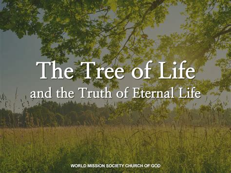 The Tree Of Life And The Truth Of Eternal Life