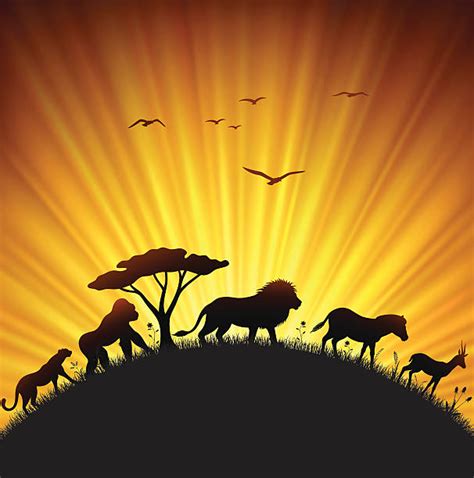 Safari Sunset Illustrations Royalty Free Vector Graphics And Clip Art