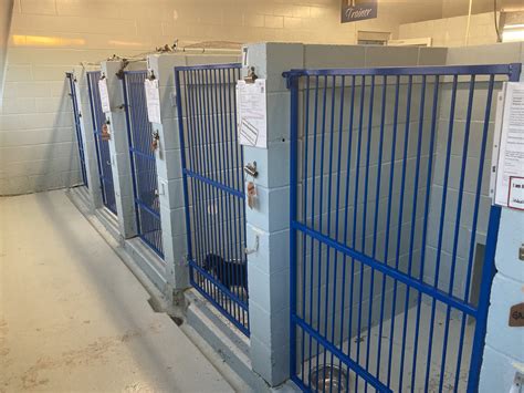 New Regina Humane Society facility a 'game changer' for animal care