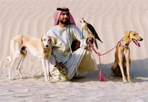 Therefore, several muslim scholars believe that the saliva of a dog is impure and thus the animals cannot be kept as a pet. Government "Bird Dogs" on the Loose in Saudi Arabia ...