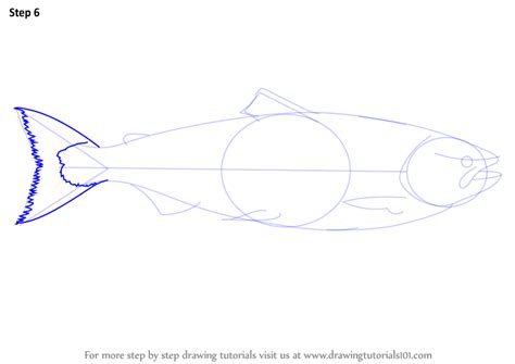 We did not find results for: Learn How to Draw a Salmon (Fishes) Step by Step : Drawing ...