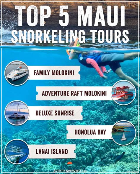 Top 5 Maui Snorkeling Tours Lahaina Maalaea Makena Lanai