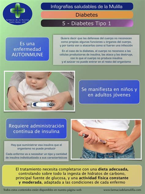 Infografía Con Las Características Que Presenta La Enfermedad Diabética Tipo 1 Diabética