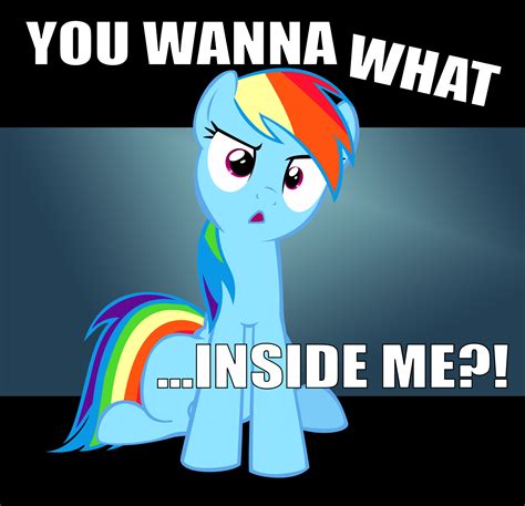 I Want To Cum Inside Rainbowdash I Want To Cum Inside Rainbow Dash Know Your Meme