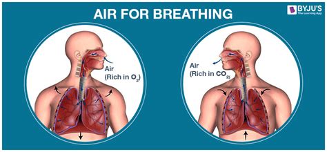 Air For Breathing Combustion And Regulating Temperatures