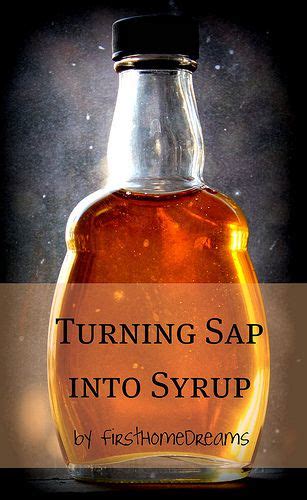 Turning Sap Into Maple Syrup Diy Maple Syrup Homemade Maple Syrup
