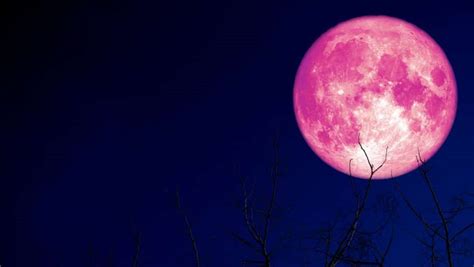 A Dazzling Full Strawberry Moon Is Set To Illuminate Vancouver Skies