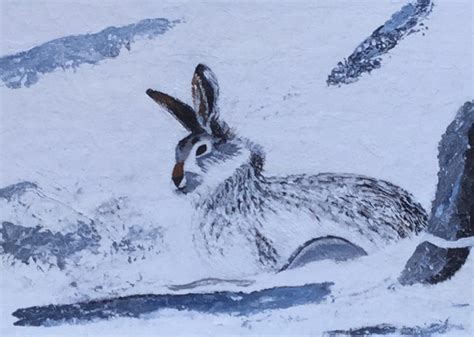 Dupont Art Club The Snow Rabbit 3