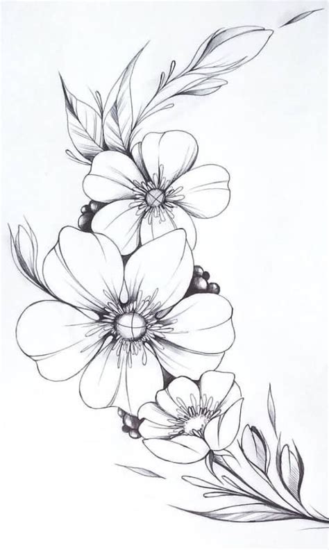 Pin by cynjini rao on Botanical Black/White Illustrations | Flower art
