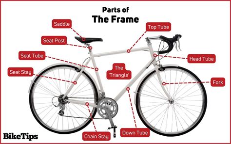 Parts Of A Bicycle Explained Comprehensive Guide To Your Bike
