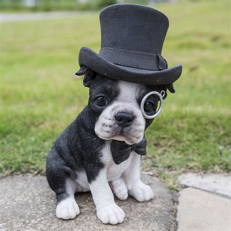 The android app not as well polished as ios. Hi-Line Gift Ltd. Boston Terrier with Top Hat Statue ...