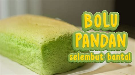 Telur ayam (ukuran besar), gula pasir, vanilli bubuk, susu dancow putih. BOLU PANDAN SUPER LEMBUT EMPUK MULUS | JIGGLY PANDAN SPONGE CAKE - YouTube