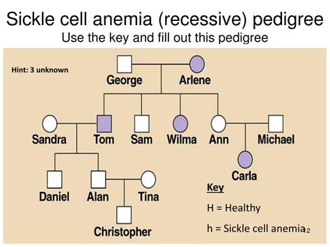 Sickle Cell Disease Pedigree Captions Hd