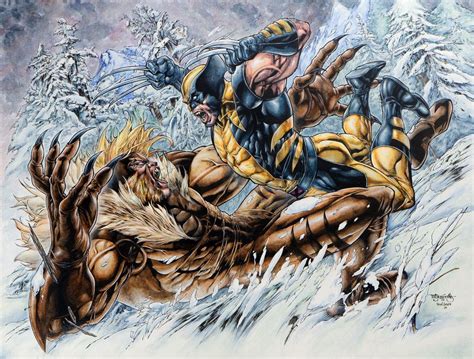 Wolverine Vs Sabretooth By Stephen Segovia Dc Comics Vs Marvel Marvel