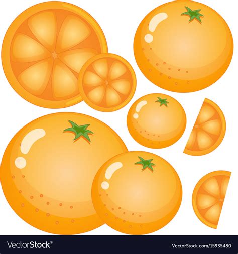 Fresh Oranges On White Background Royalty Free Vector Image