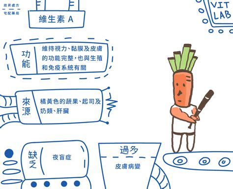 成為逢甲教職員 成為逢甲學生 知道校友服務 申請在母校拍婚紗照 租會議廳辦活動 租體育館空間 搭. A, B, C, D, E, K? 想補充維生素的你不再一頭霧水 | iHealth