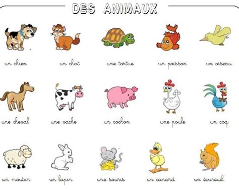 Les Animaux French Language Lessons French Language Learning Learn A