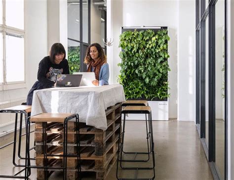 Naava One Green Wall Freestanding Planter Gives Your Indoor Environment