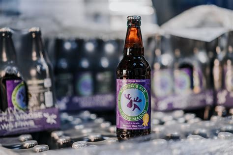 Purple Moose Turns Online To Develop Sales Beer Today