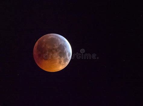 Lunar Eclipse Of Super Wolf Blood Moon Stock Image Image Of Perigee