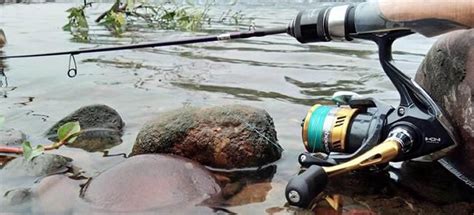 While the equipment, lure, and bait are one of the most important steps of trout fishing is setting up the proper rig. How to Rig a Fishing Pole for Trout: The Complete Guide ...