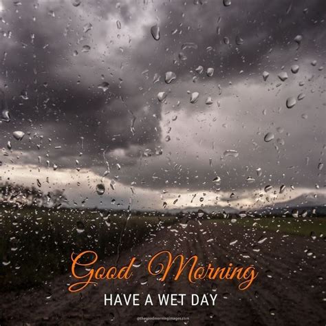 Best Rainy Good Morning Images Good Morning Rainy Day Rainy Good Morning Good Morning Rain