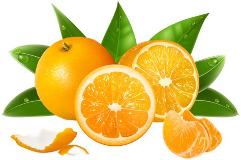 Oranges Png 10 Free Cliparts Download Images On Clipground 2021